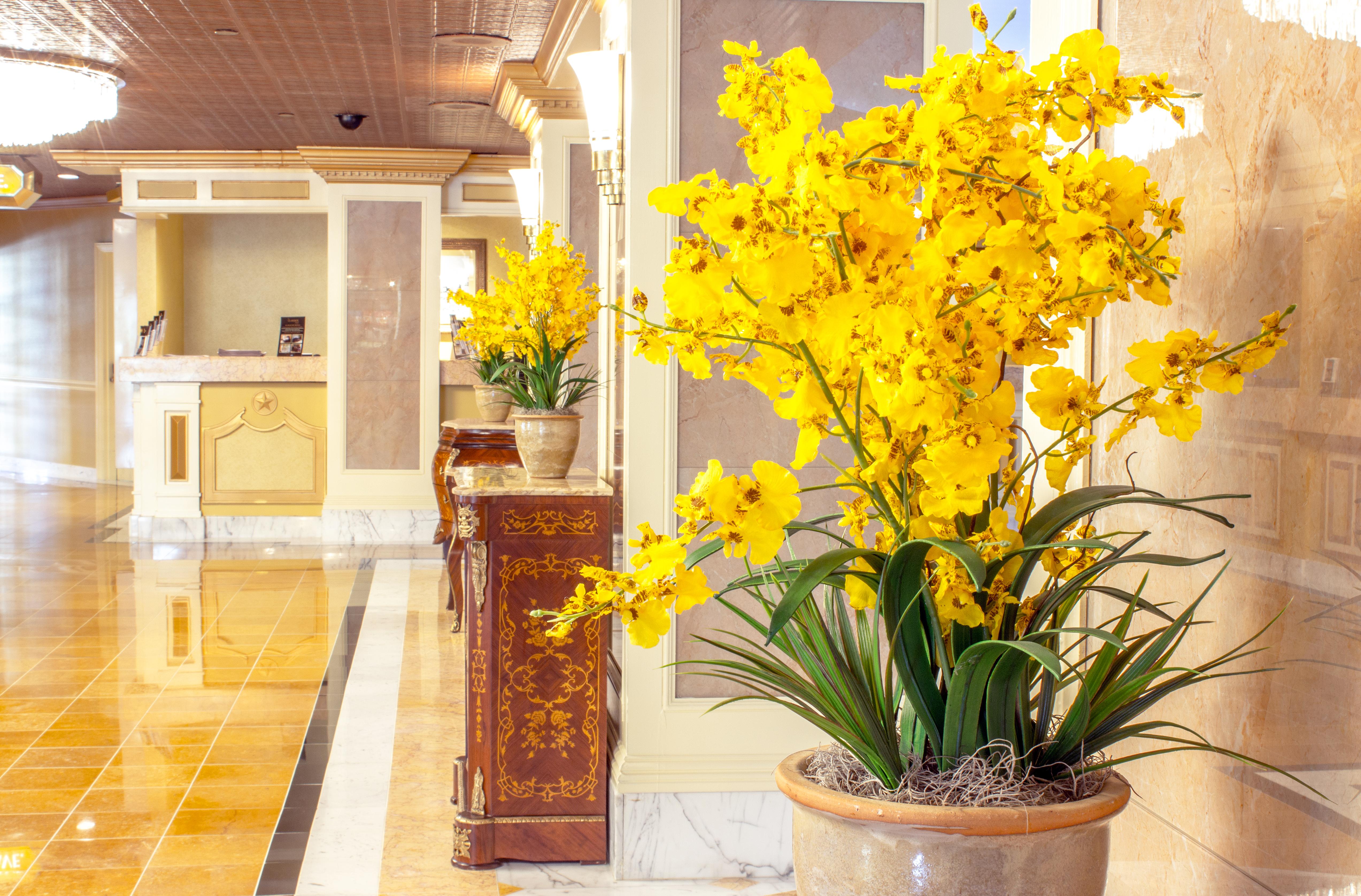 The Claridge Hotel Атлантик Сити Экстерьер фото